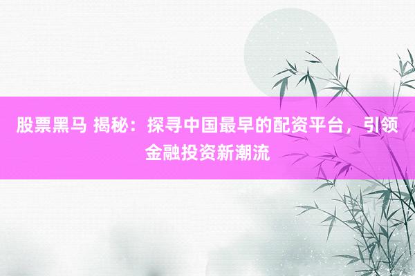 股票黑馬 揭秘：探尋中國最早的配資平臺，引領金融投資新潮流