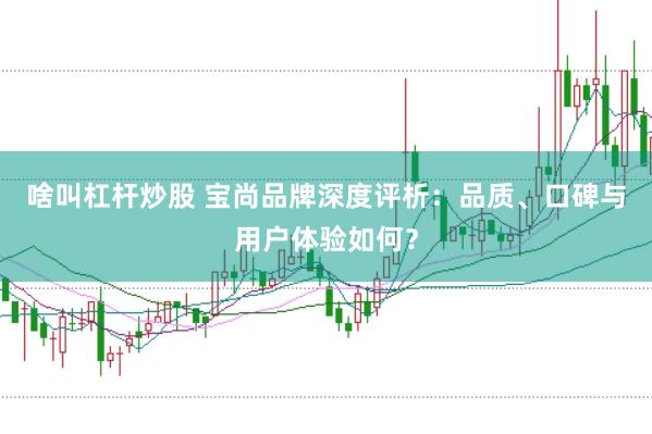 啥叫杠桿炒股 寶尚品牌深度評(píng)析：品質(zhì)、口碑與用戶體驗(yàn)如何？