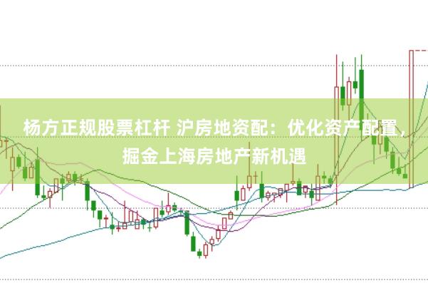 楊方正規(guī)股票杠桿 滬房地資配：優(yōu)化資產(chǎn)配置，掘金上海房地產(chǎn)新機遇